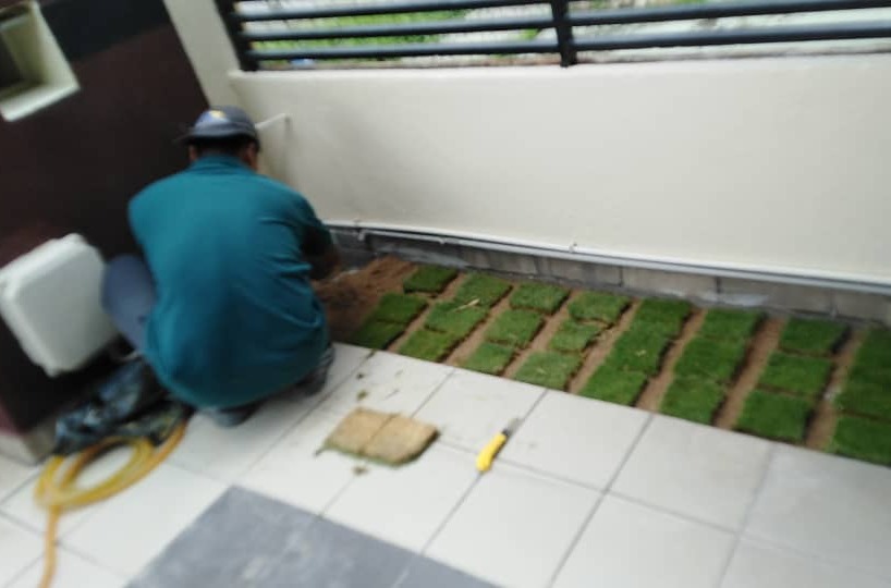 Mini Courtyard Garden